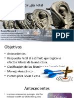 Anestesia para Ciruga Fetal