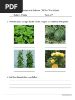 Environmental Science (EVS) - Worksheet: Subject: Plants Class: 2