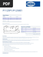 P1125P1/P1250E1: Output Ratings