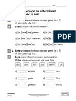 L'accord Du Déterminant Avec Le Nom PDF