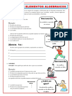 1 Revisión de Elementos Algebraicos