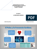 El Pulso y Frecuencia Cardiaca