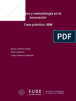 Caso Práctico IBM - Gerardo Cuñado PDF