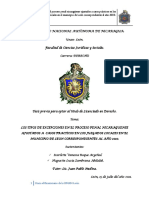 Los Tipos de Excepciones Penales en Nicaragua