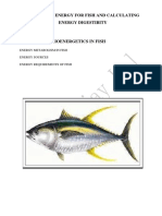 Energy Sources For Fish and Calculating Enrgy Digestibility