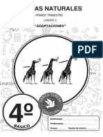 2 M - NAT - 4° - 1T - Adaptaciones