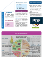 Alimentación en Diabetes Mellitus - Oficial PDF