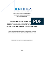 Informe 6 PDF