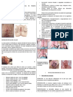 Patolog A Vulvar REVISADA