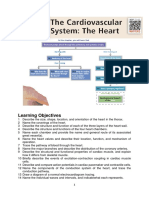 Note On The Cardiovascular System