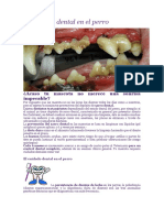 El Cuidado Dental en El Perro