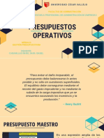 Presupuestos Operativos