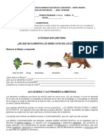 Enseñar La Interdependencia Entre Todos Los Organismos Dentro de Un Ecosistema