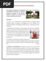 PDF Documento