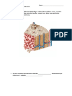 Prelab 3 Bone Tissue and Axial Skeleton Winter 2020