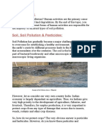 Soil, Soil Pollution & Pesticides