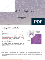 Tejido Cartilaginoso 2020