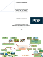 MAPA MENTAL ECOLOGÍA y ECOSISTEMAS COLOMBIANOS