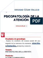 Sesión 03 - Psicopatología de La Atención y Orientación