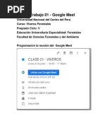 Trabajo 01 Google Meet