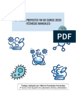 Técnicas Manuales PDF