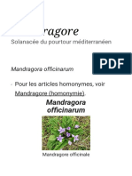 Mandragore - Wikipédia PDF