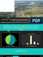 Presentacion Caracterizacion Vendedores Informales San Jose Del Guaviare 2018