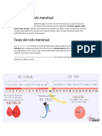 El Ciclo Menstrual