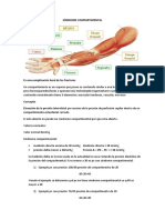 Trauma Segundo Parcial Resumen PDF