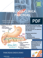 PC - Pancreas 2020