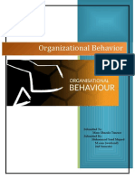 Organizational Behavior: Assignment