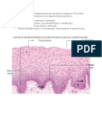 Diagnosis de Tejido