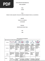 Evidencia Cuadro Comparativo. Reconocer Las Diferentes Topologías de Redes y Sus Características