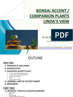 Bonsai Accent / Companion Plants Linda'S View