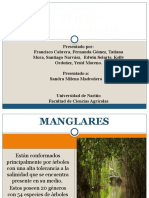 MANGLAR