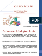 Fundamentos de B. Molecular PDF