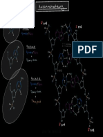 DNA Aufbau