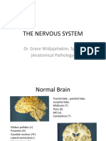 Nervous System, Jan 2011