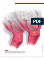 0714 Obg Manuck PDF