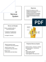 The Peripheral Nervous System: Objectives