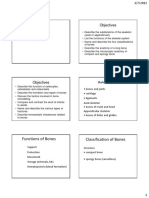 Objectives: Functions of Bones Classification of Bones