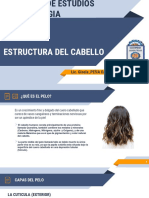 Estructura Del Cabello