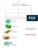 Tarea DE LA CELULA