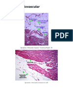 Atlas de Histología de Órganos y Sistemas