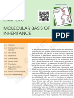 Molecular Basis of Inheritance: WWW - Ncert.online