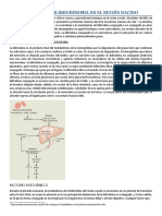 Ictericia e Hiperbilirrubinemia en El Recién Nacido