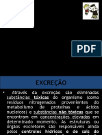 Excrecao - Comparada - Cópia