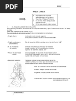 Biomecanica Raquis Lumbar