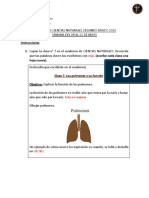 6ta Entrega Ciencias 2° Básico