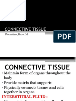 Connective Tissue: Florentino, Hazel M